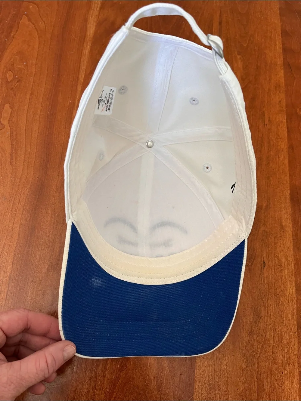 Rare Japanese One Piece baseball cap